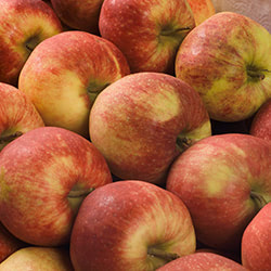 Appels