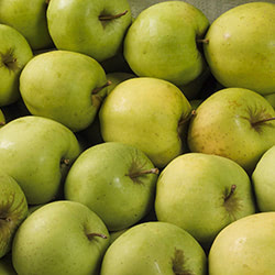 Appel